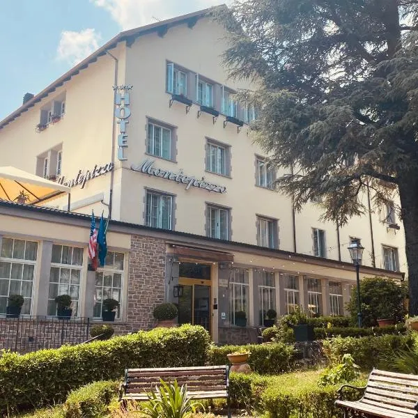 Hotel Montepizzo, hotel Lizzano in Belvederében
