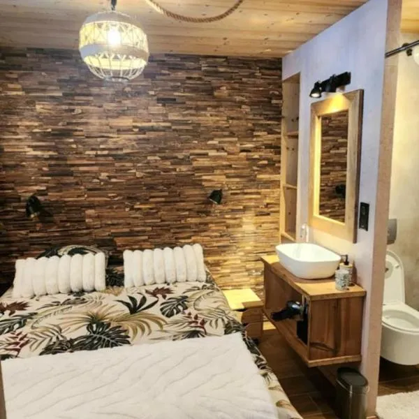 Appartement Lac de Vonnes Chatel – hotel w mieście Châtel