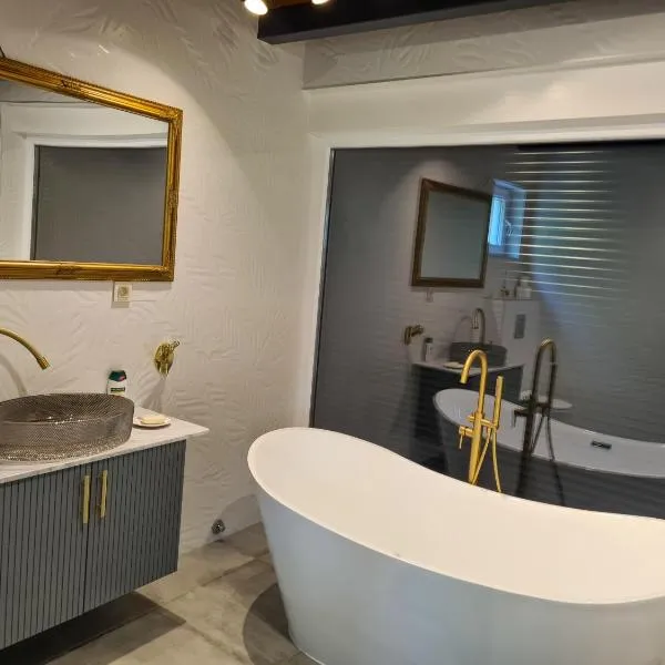 Vila Horizont Premium, hotel v destinaci Ovčar Banja