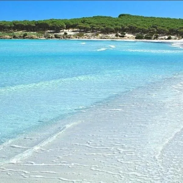 Budoni -San Pietro, hotel v destinaci Tamarispa