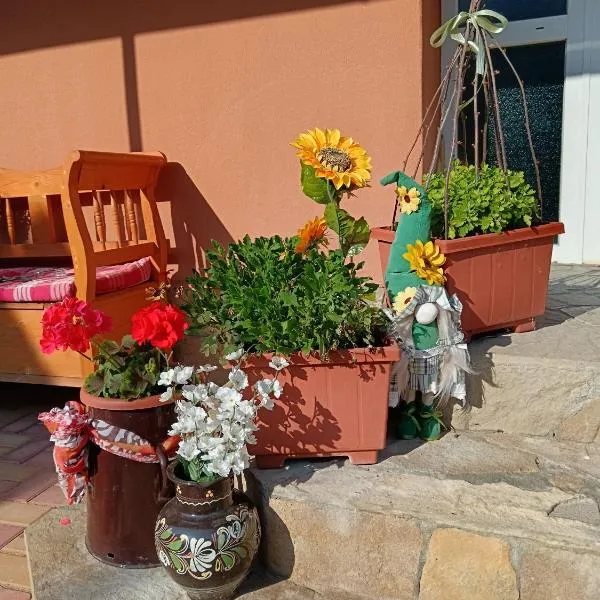 Hársfa apartman, hotel v destinaci Makó
