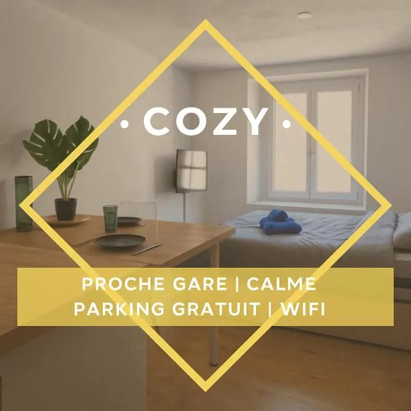 Le Nid Cozy à 2 Pas de la Gare St-Dié - Wifi - Calme, Hotel in Saint-Dié-des-Vosges