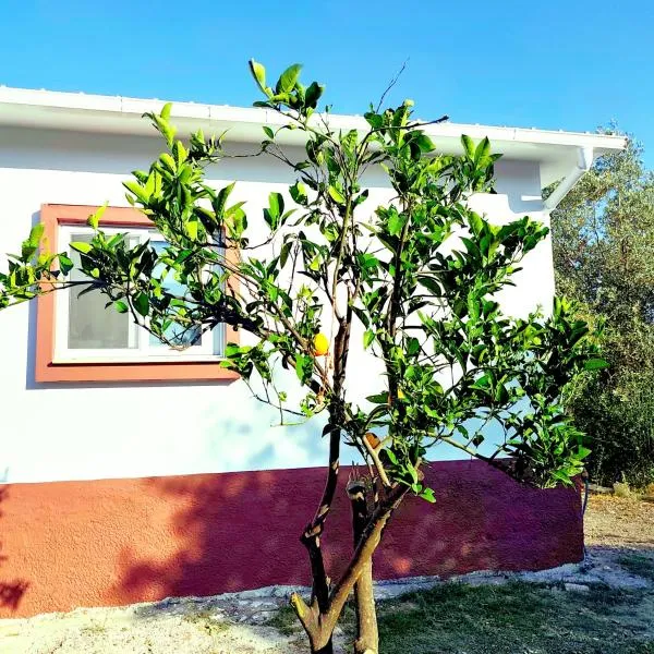 Garden Studios N1, hotel v destinaci Archangelos