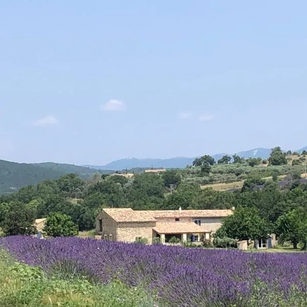 Mas du 18e siècle au calme entouré de champs de lavandes – hotel w mieście Pierrerue
