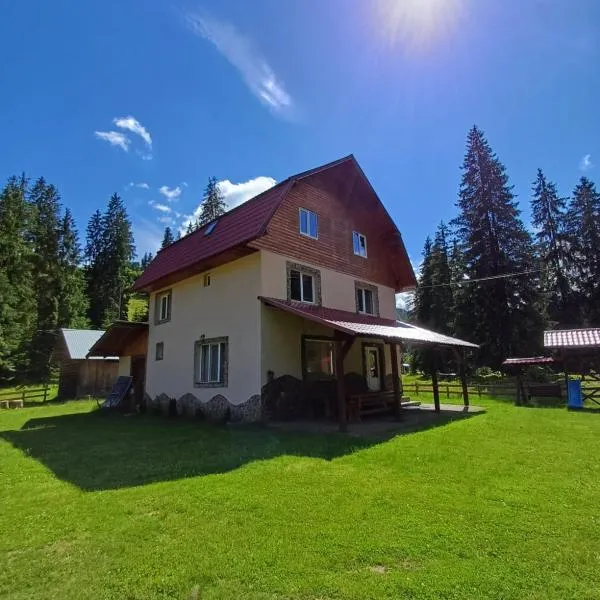 Cabana Elena, hotel in Izlaz