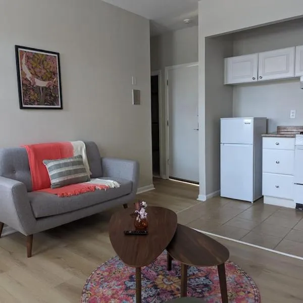 Urban Chic South End Studio, Hotel in Boston