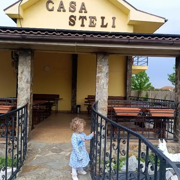 Pensiunea Casa Steli, hotel di Haieu