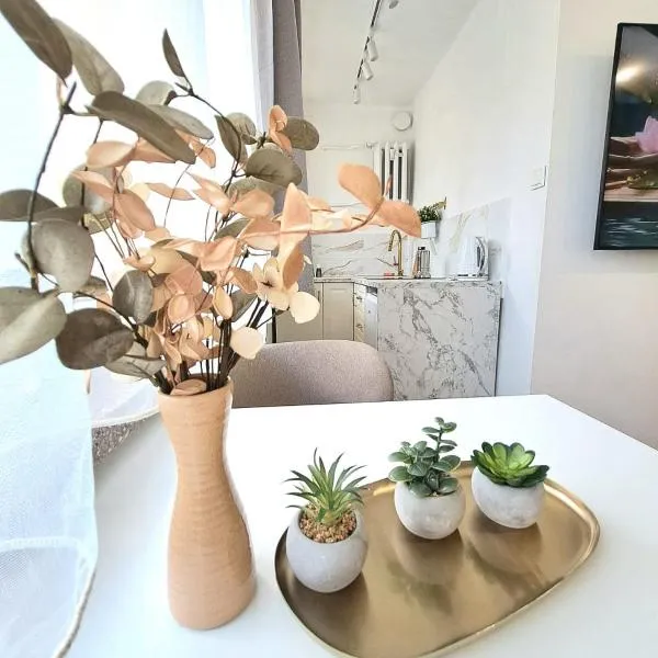 Apartament Dominikanski, hotel in Racibórz