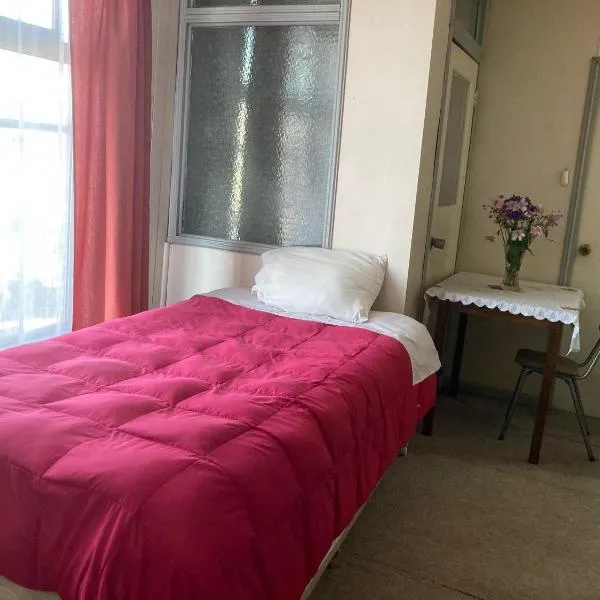 Hostal en Valdivia, hotel in Valdivia