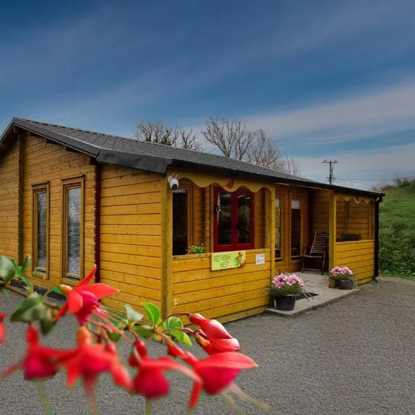 Red Robin Nest, hotel v destinaci Galway