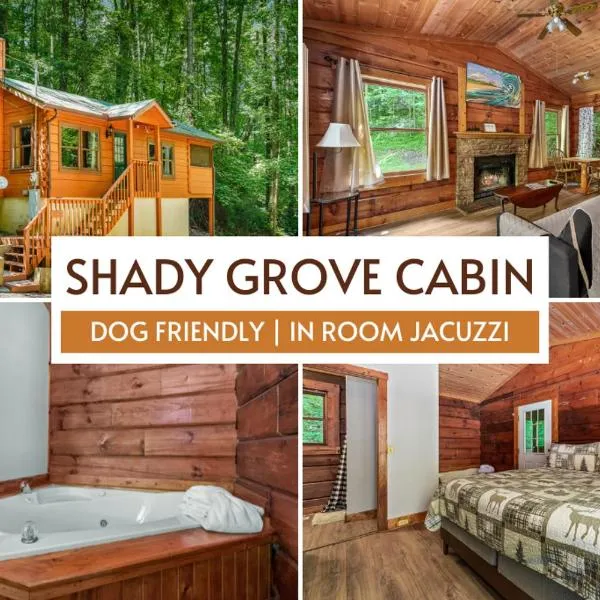 Pet-Friendly Cabin, In-Room Jacuzzi, King Bed, WiFi, hotel in Sevierville