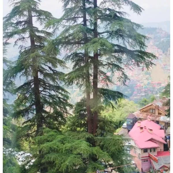 HOTEL #KRISHNA B&B Śhimla Near Mall Road- Free Wi-fi And Restaurant & Mountain View -Best Hotel In Śhimla! – hotel w mieście Shimla