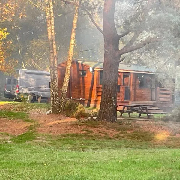 Chalet dans les bois, hotell sihtkohas Parigné-lʼÉvêque