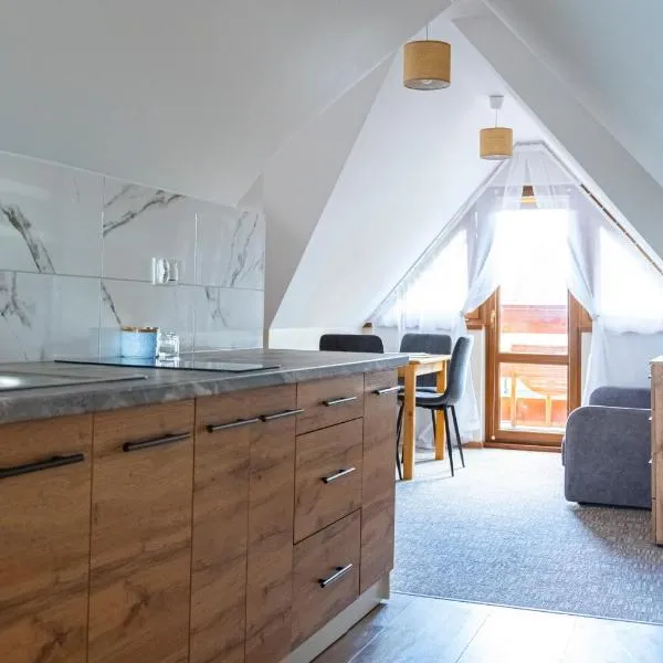 Noclegi Olszówka - Apartament I Studia, hotel in Bukowina Tatrzańska