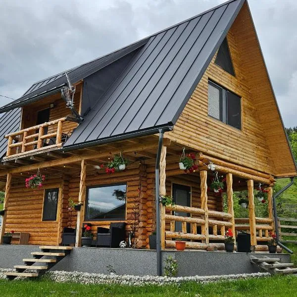Cabana MIYA, hotel v destinaci Mătişeşti