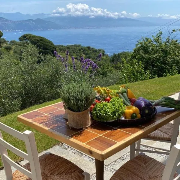 Agriturismo Terre Rosse Portofino, hotel in Portofino