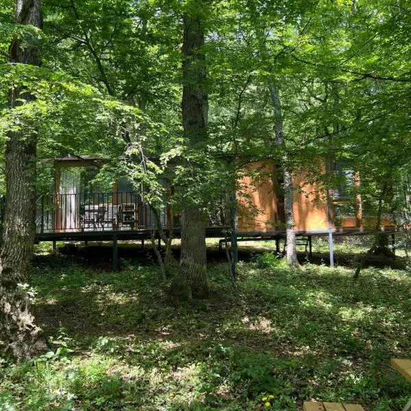 Nina's winery forest house in Kiketi, hotel v destinaci Tbilisi City