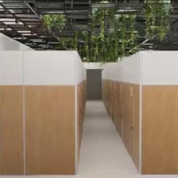 Cop 30 quartos adaptados