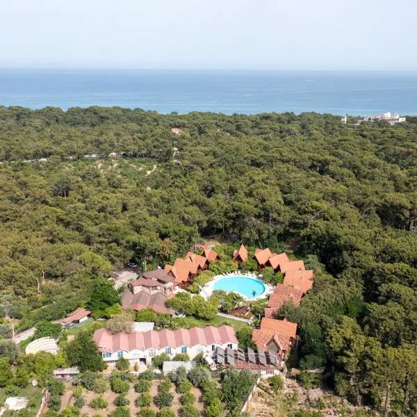 Woodline Hotel, отель в Кемере