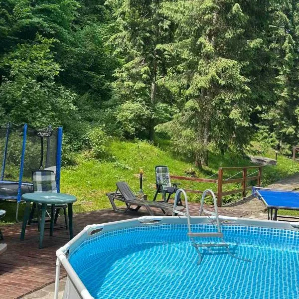 Hotel Dykyi Med, hotel v destinaci Tatariv
