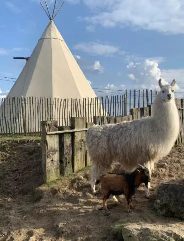 Le tipi d'Adri, hotel v mestu Gesves