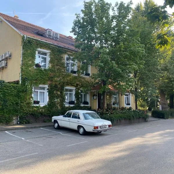 Hotel Arnold, hotel em Tata