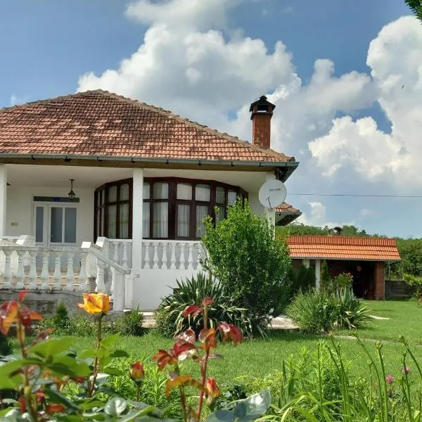 Apartmani Ćosić, hotel en Kuršumlija