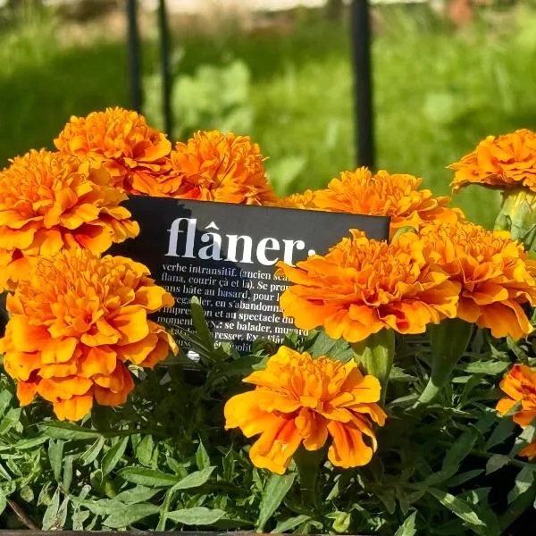 Flâneur، فندق في كاليثي هالكيديكي
