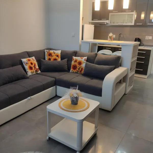 Studio apartman Laura, hotel in Vinkovci