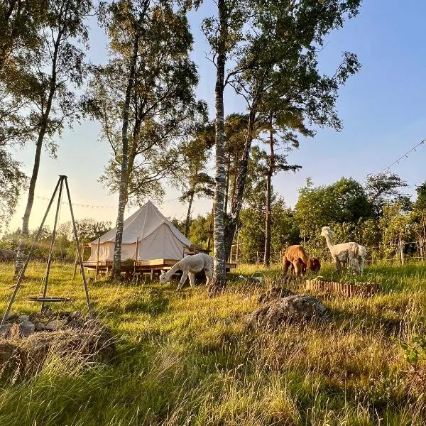 Glamping med alpackor, hotell sihtkohas Laholm