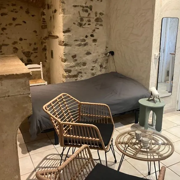 Chambre d hôte Vienne centre historique, ξενοδοχείο σε Vienne