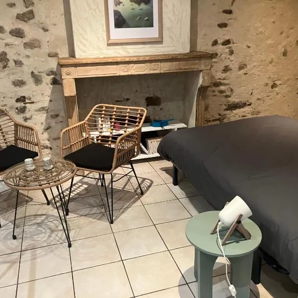 Studio Vienne centre historique, hotel in Vienne