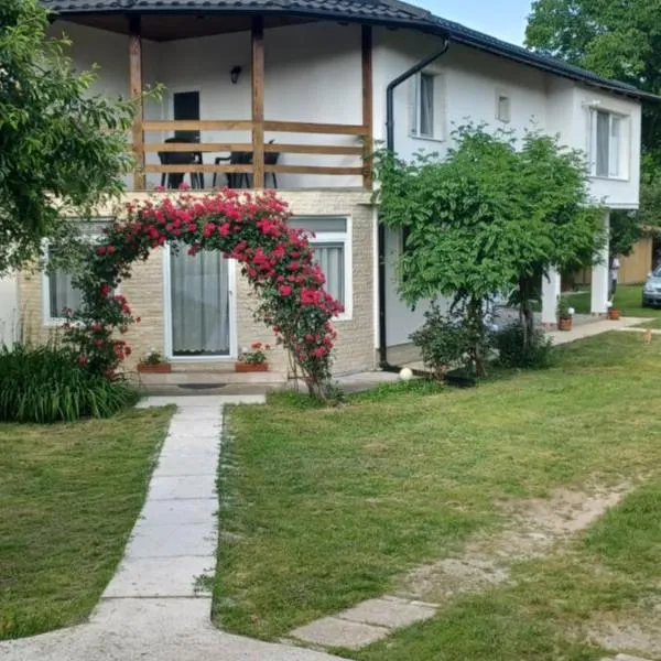 Casa Pandrea, hotel di Cîrţişoara
