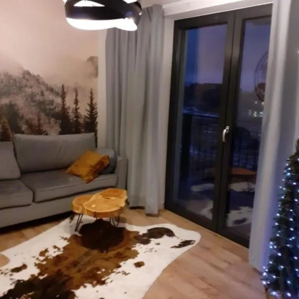 Apartament Ruczaj, hotel in Białka Tatrzanska