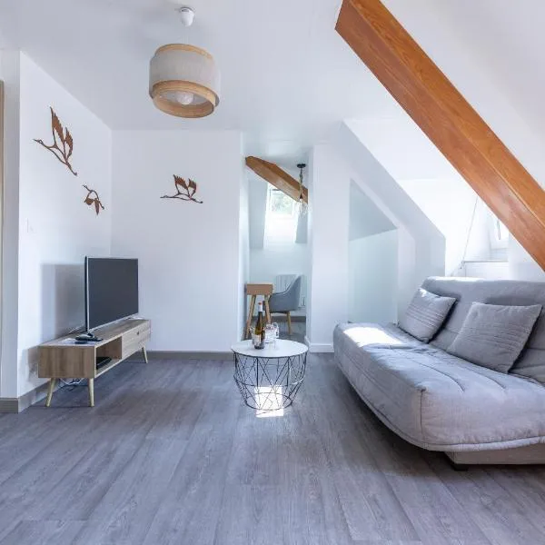 Appartement cosy centre historique, hotel in Thann