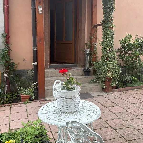Matteo Ivan Imob, hotel in Ohaba-Bistra