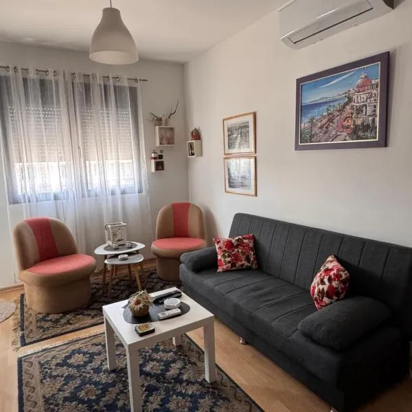 Flower and Love Flat Next to centar of podgorica, hotel in Podgorica