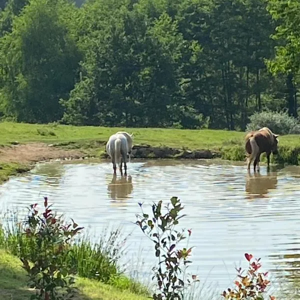 Domaine De Domingeal Meublé de Tourisme 3 étoiles, hotel in Saint-Germain-les-Vergnes
