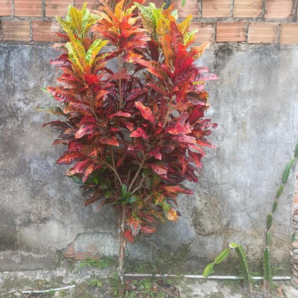 Recanto de Outeiro - Foto 4