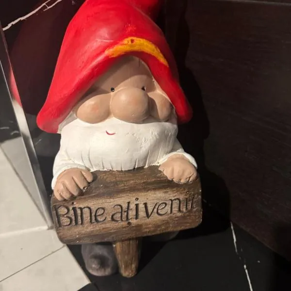 Adela & Robert Home cu piscină și parcare privată, hotel di Giroc