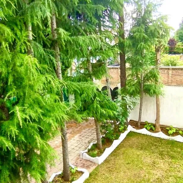 Greenoriva - D2 - Greenery & Peace, hotel in Srinagar