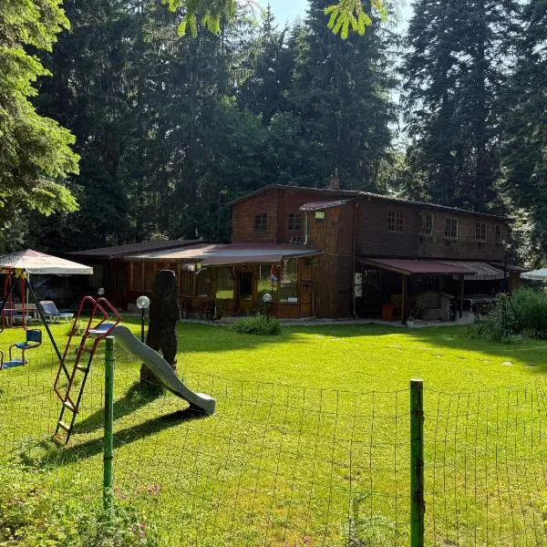 Persey Villa Borovets, hotel a Borovets