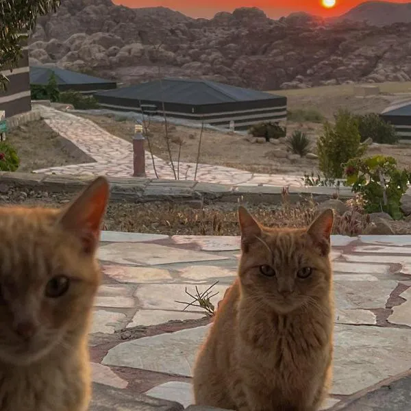 Petra Wassaif Camp, hotel v destinaci Wadi Musa