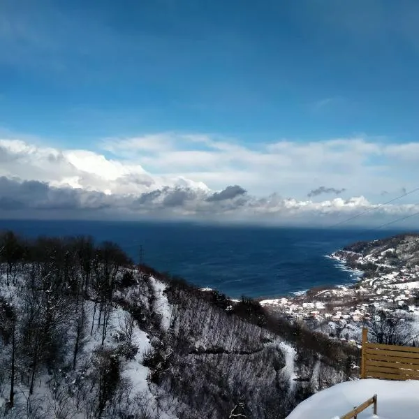 Opera Bungalov, hotel v destinaci Ordu