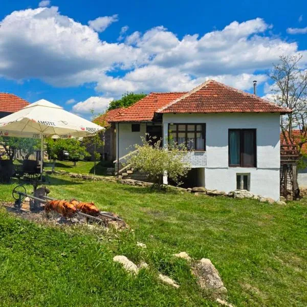 Etno smeštaj Stojadinović, hotel v destinaci Svrljig