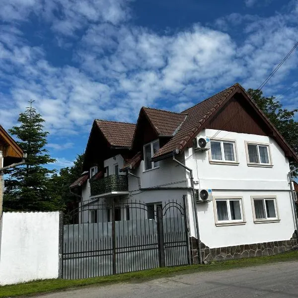 Casa cu brazi, hotel v destinaci Porumbacu de Sus