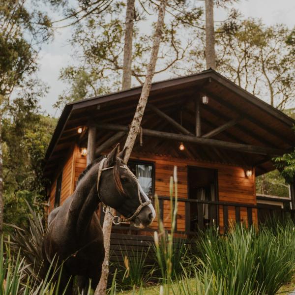 Cabana Floresta nas Cabanas Malbec Lareira, Conforto e Vista para o Verde