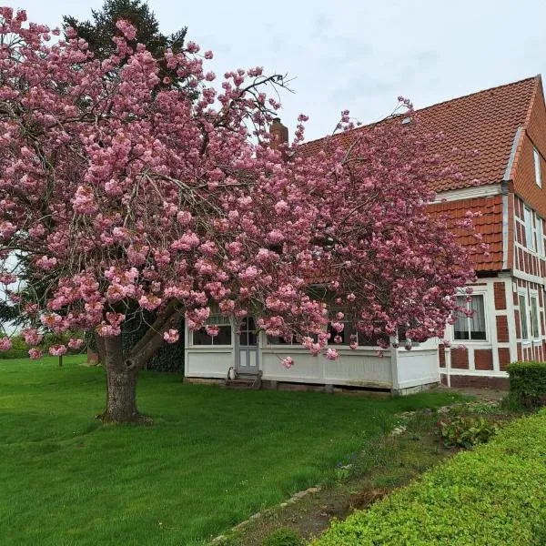 Gasthaus zur Grenze, hotel en Cuxhaven