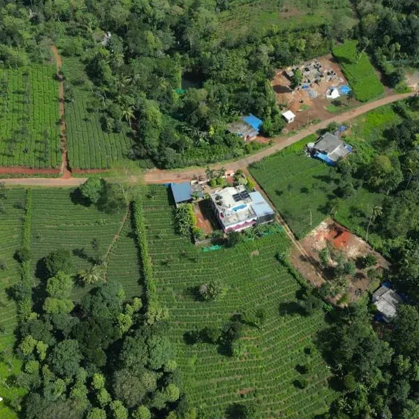 Best Mist, hotel v destinaci Idukki