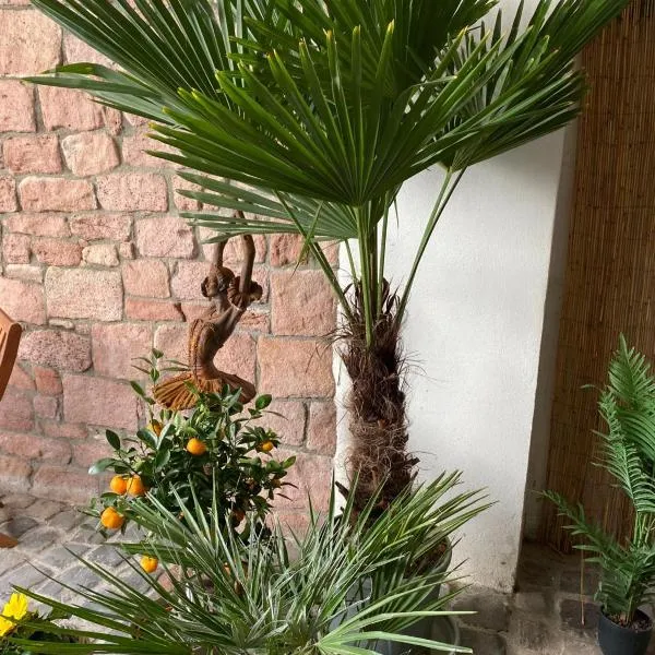 Gemütlich & einzigartig: Altbauloft in Edenkoben, hotel v destinaci Edenkoben